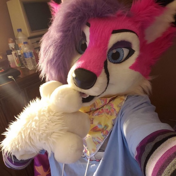 Meet your Posher, Chloe - Picture 1 of 1